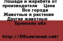 Лошади и жеребята от производителя. › Цена ­ 120 - Все города Животные и растения » Другие животные   . Брянская обл.